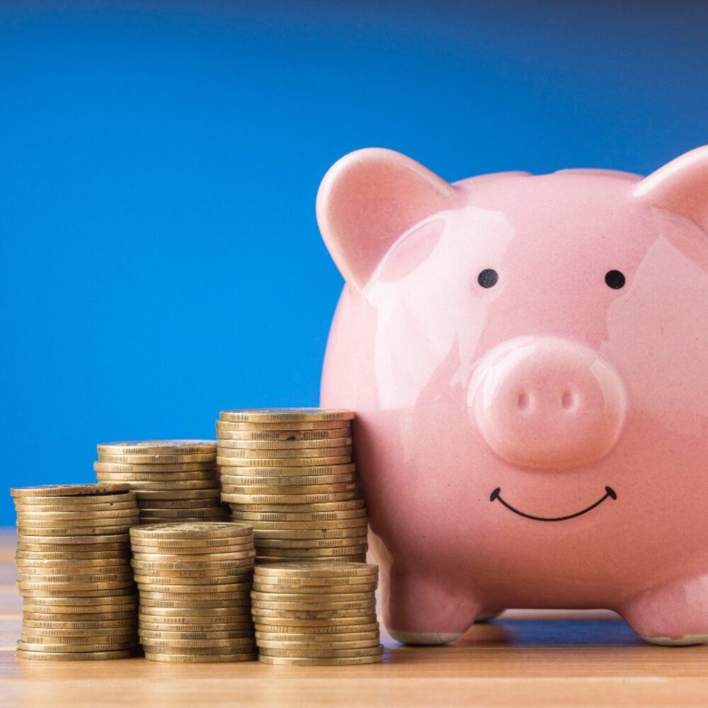 Sparschwein mit M&uuml;nzstapeln als Symbol f&uuml;r das DEVK Altersvorsorgedepot 2027